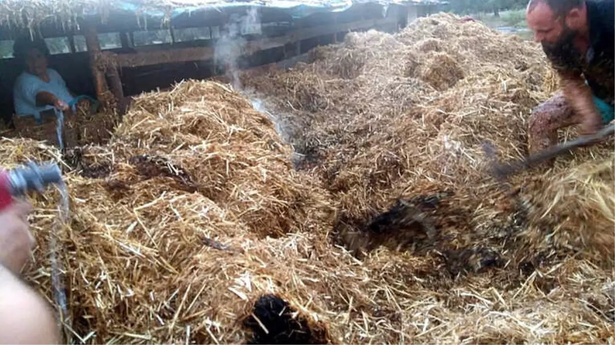 Edremit\'te Korkutan Samanlık Yangını