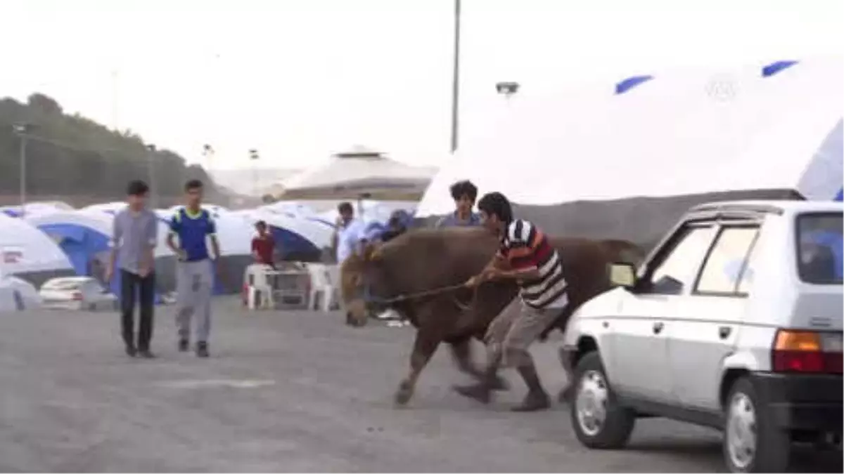 Kurban Bayramı\'na Doğru