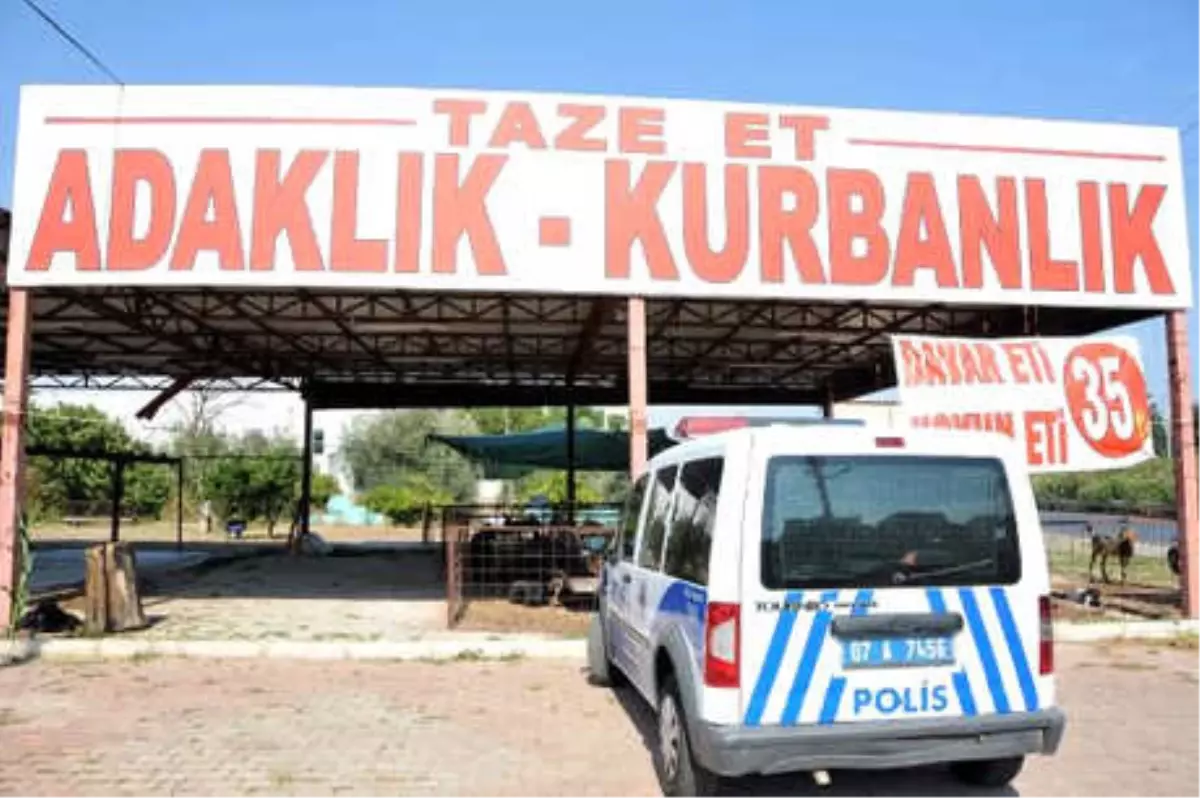 Kurbanlık Hırsızları Kamerada