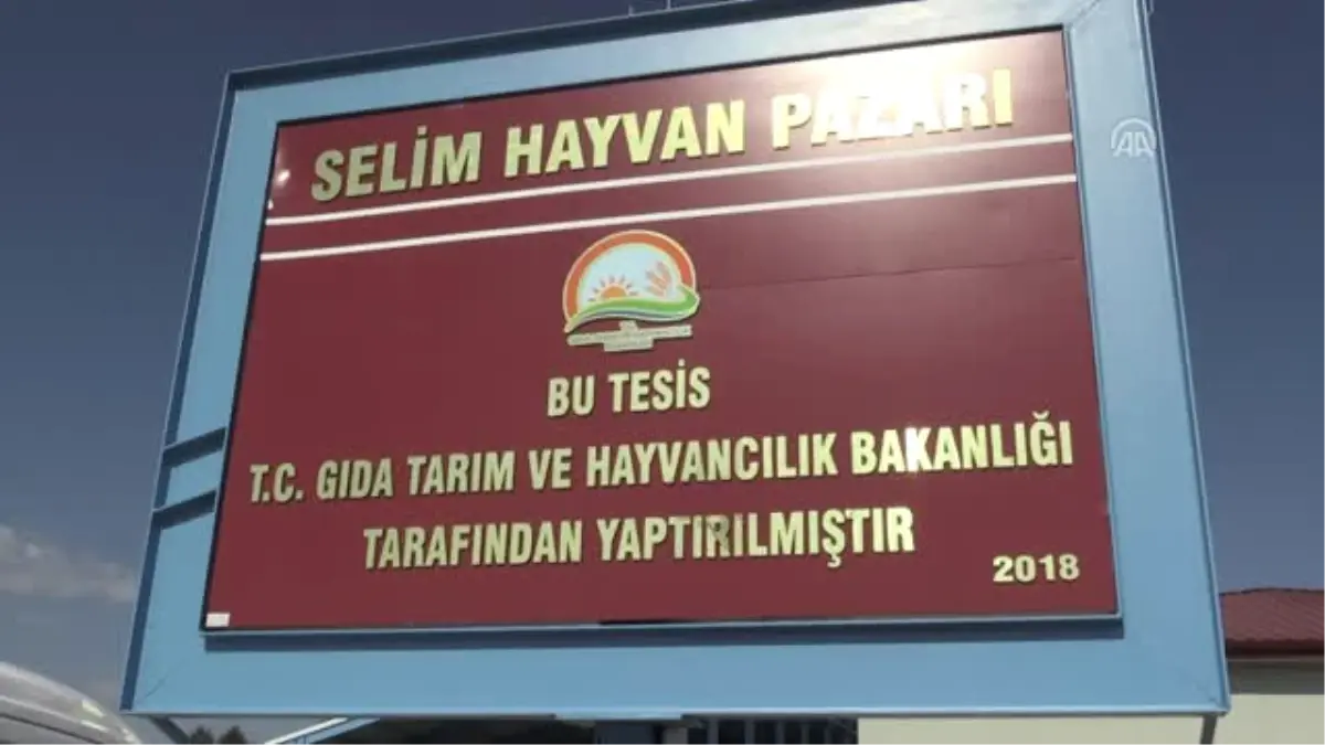 Kurbanlıklar Yola Çıkarıldı - Kars