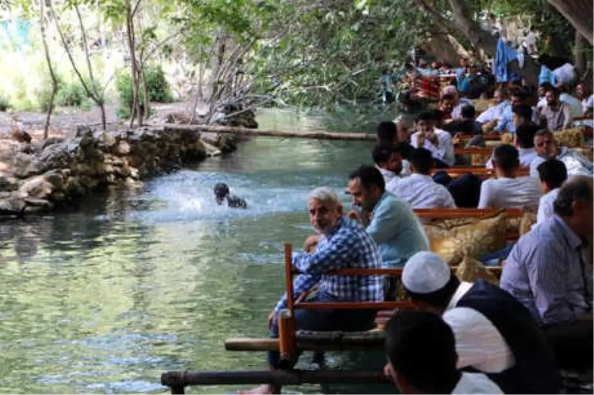 Mardin\'deki Din Görevlileri Beyazsu\'da Piknik Yaptı