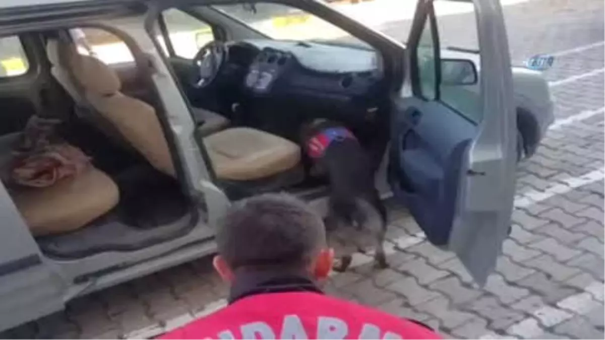 Muradiye\'de Uyuşturucu ve Silah Ele Geçirildi