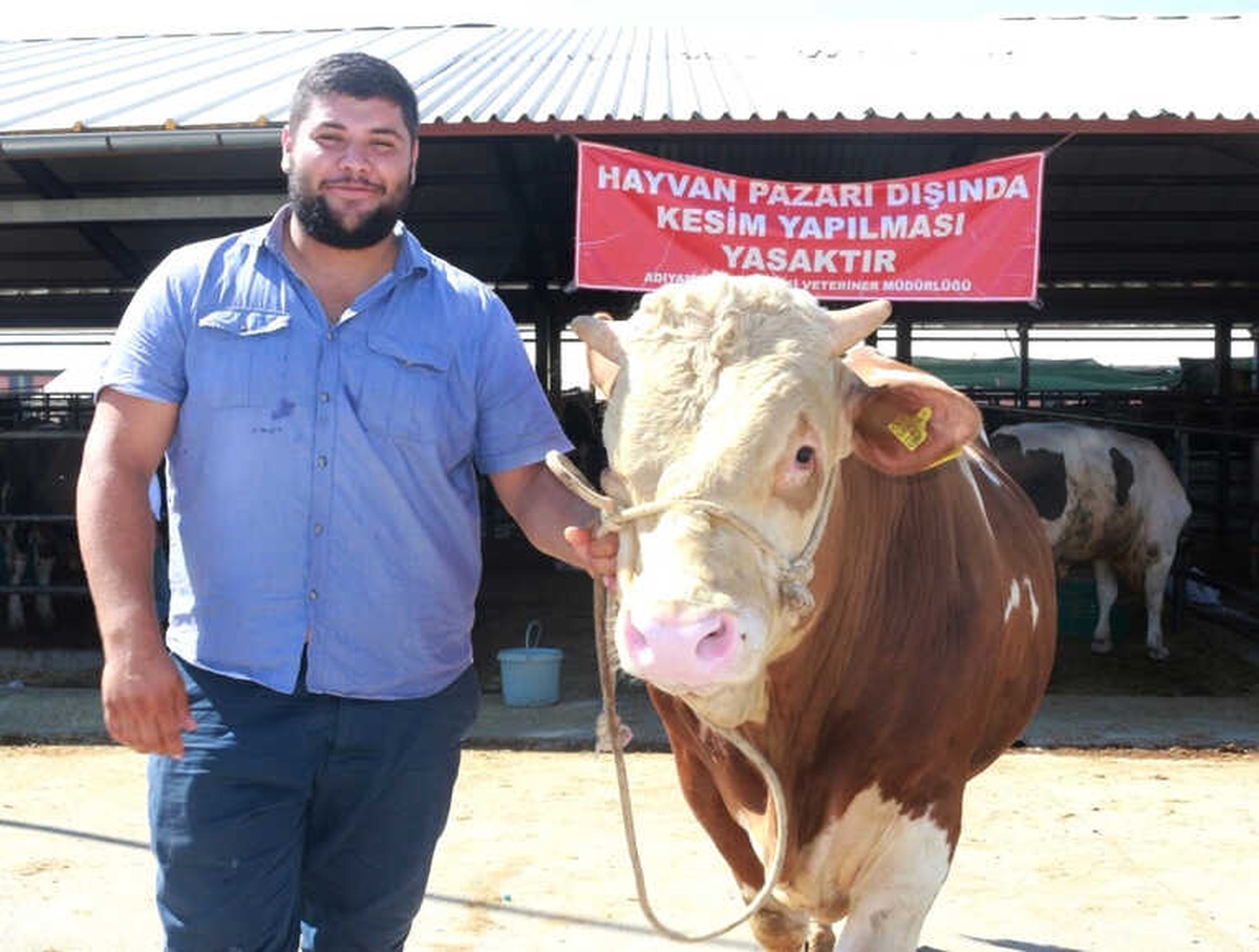 Otomobil Fiyatına Kurbanlık