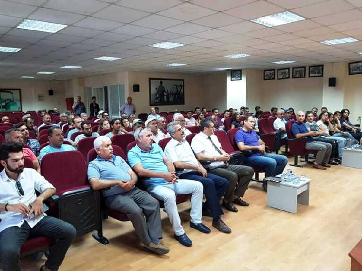 Pamuk Söke\'de Masaya Yatırıldı