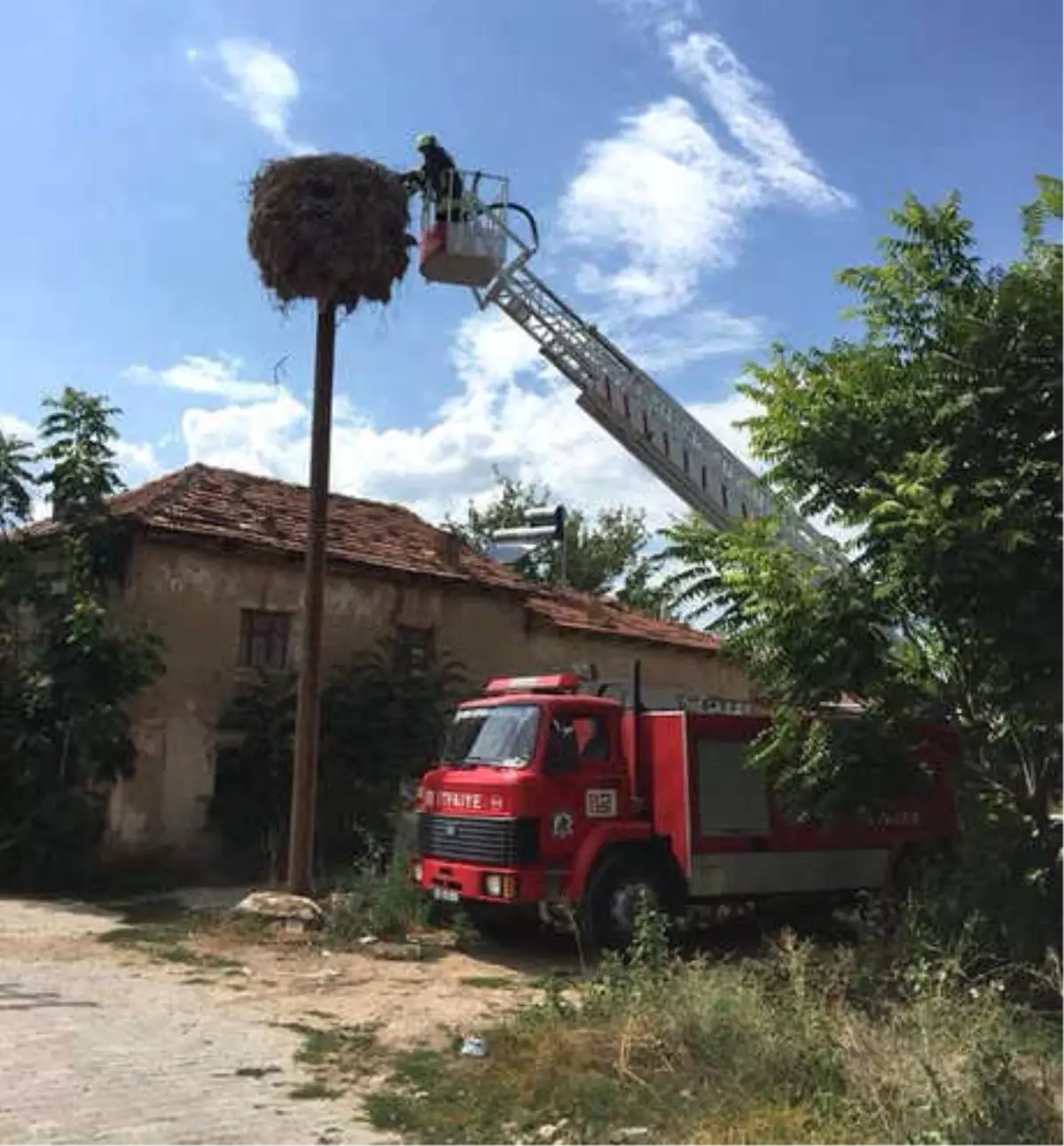 Yuvadan Düşen Yavru Leylek, İtfaiye Aracıyla Yerine Koyuldu