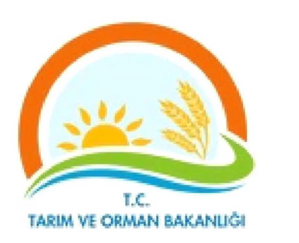 Bakanlıktan Türk Böbrek Vakfı\'na Yalanlama