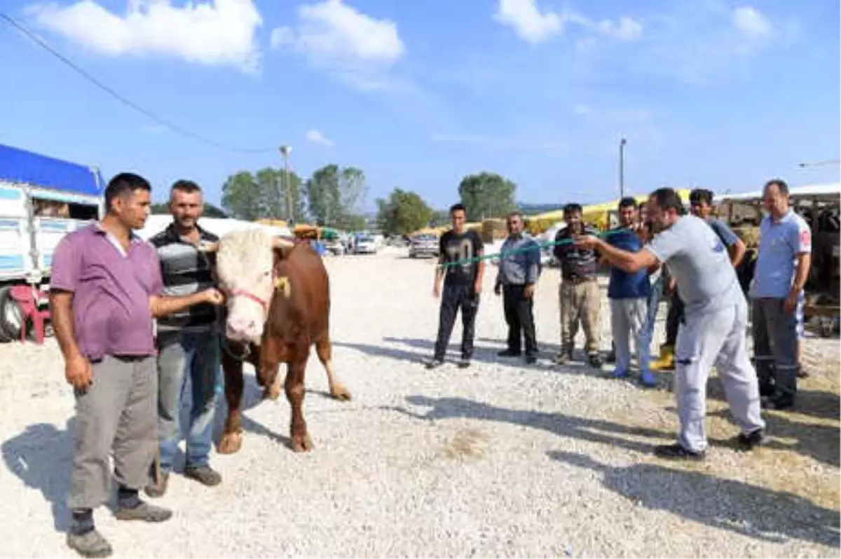 Bursa\'da Kurban Yakalama Timi Göreve Hazır