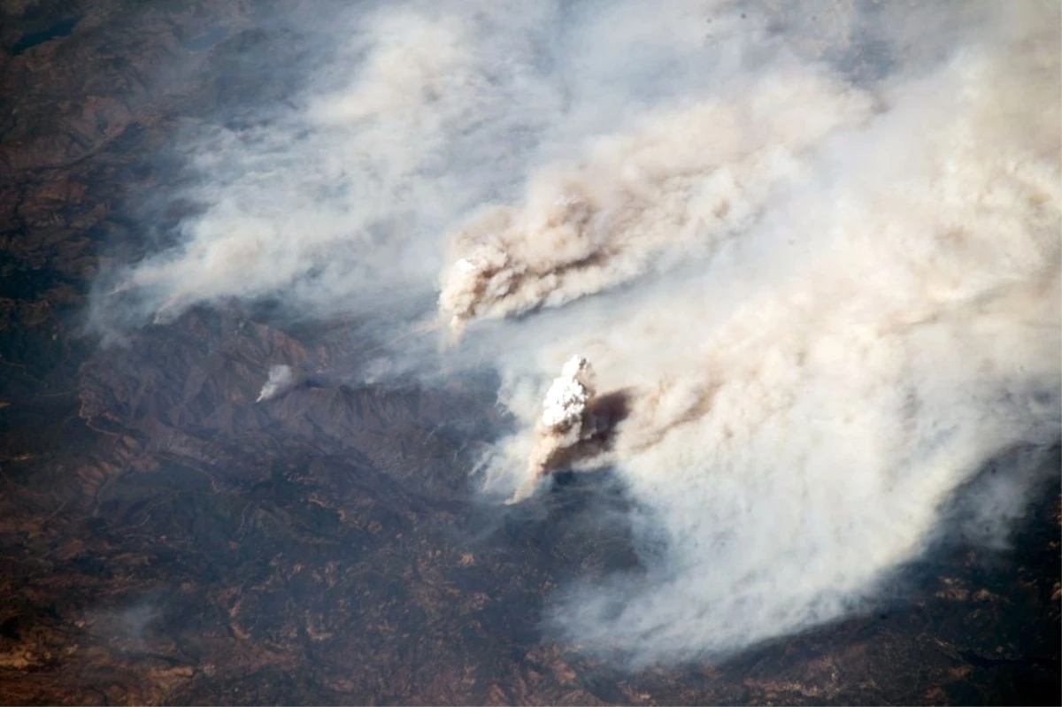 California\'da Tarihinin En Büyük Yangın Felaketi Yaşanıyor