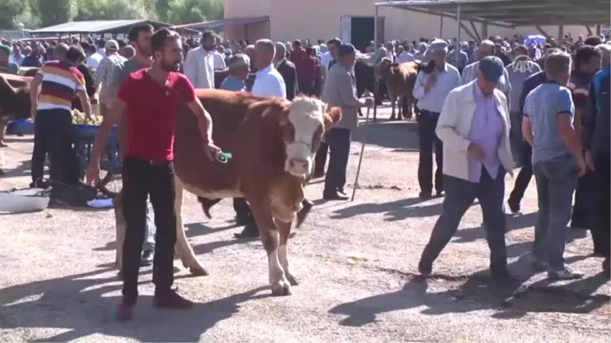 Hayvan Pazarında "Kurban" Hareketliliği