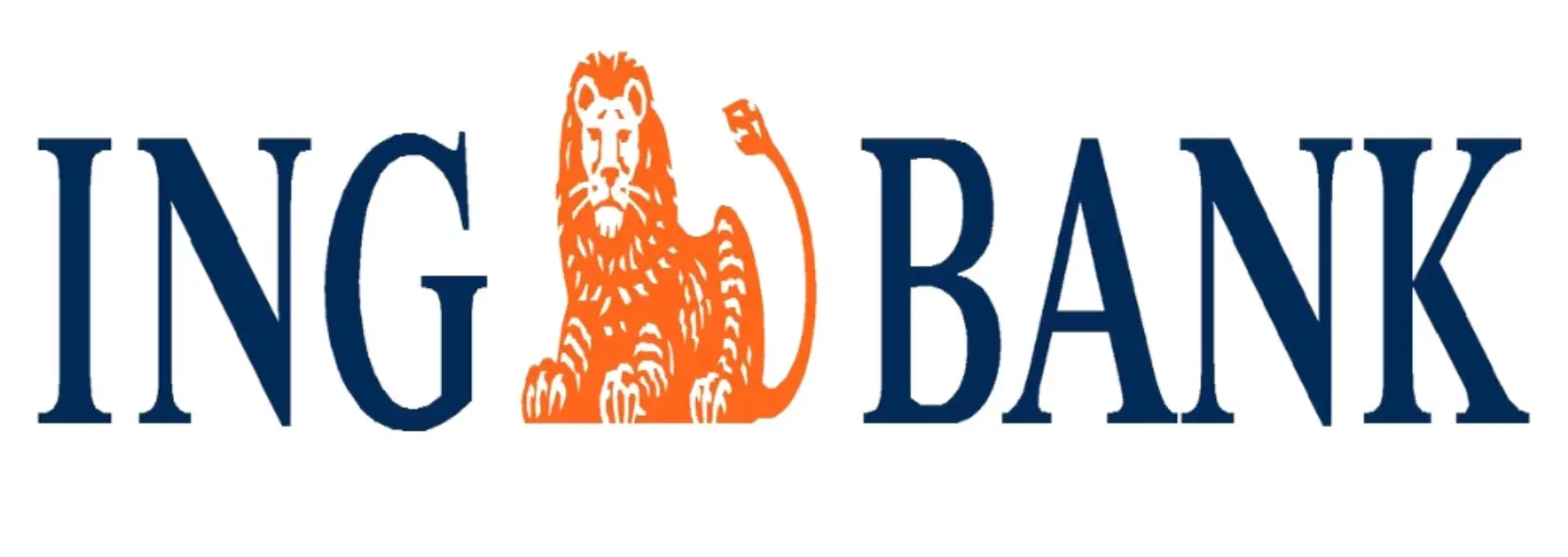 Ing Bank İlk Yarı Yıl Rakamlarını Açıkladı