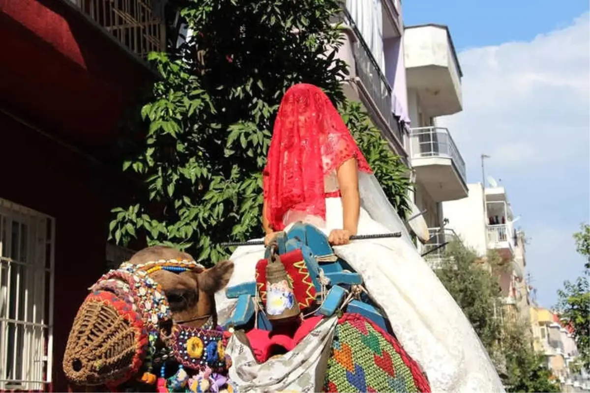 İnternet ile Değil Develer Sayesinde Tanışıp Evlendiler