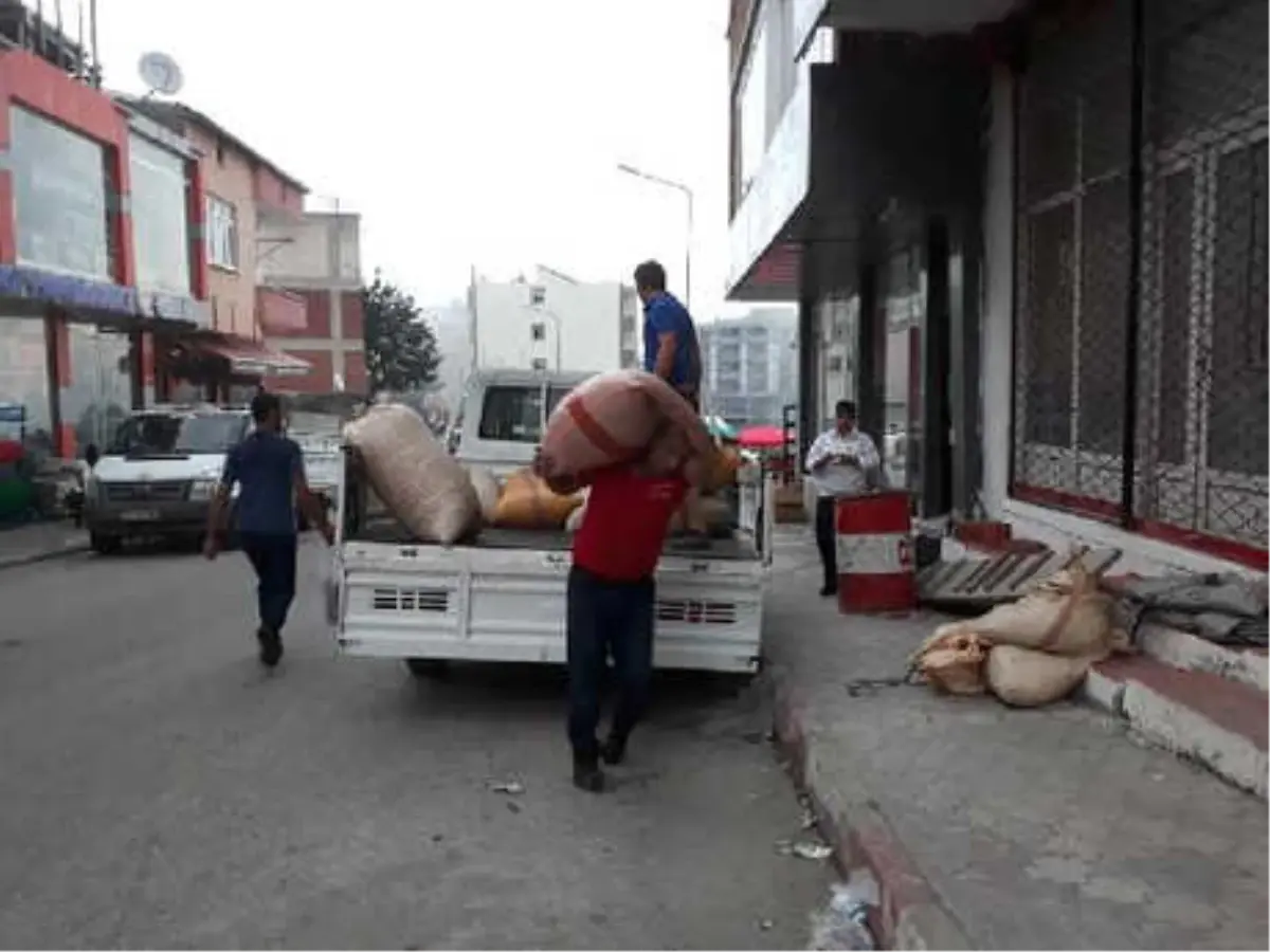 Ordu\'da Üreticiler Fındık Satışına Başladı