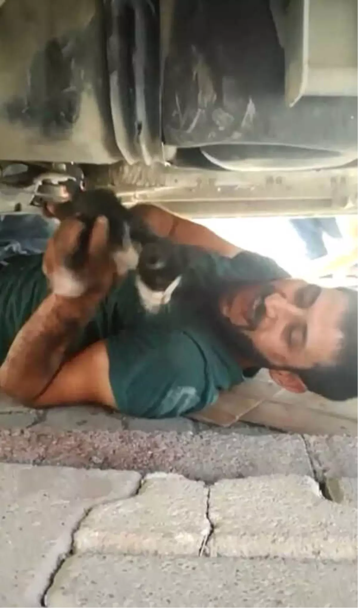 Otomobilin Motor Kısmına Sıkışan Kediyi Vatandaş Kurtardı