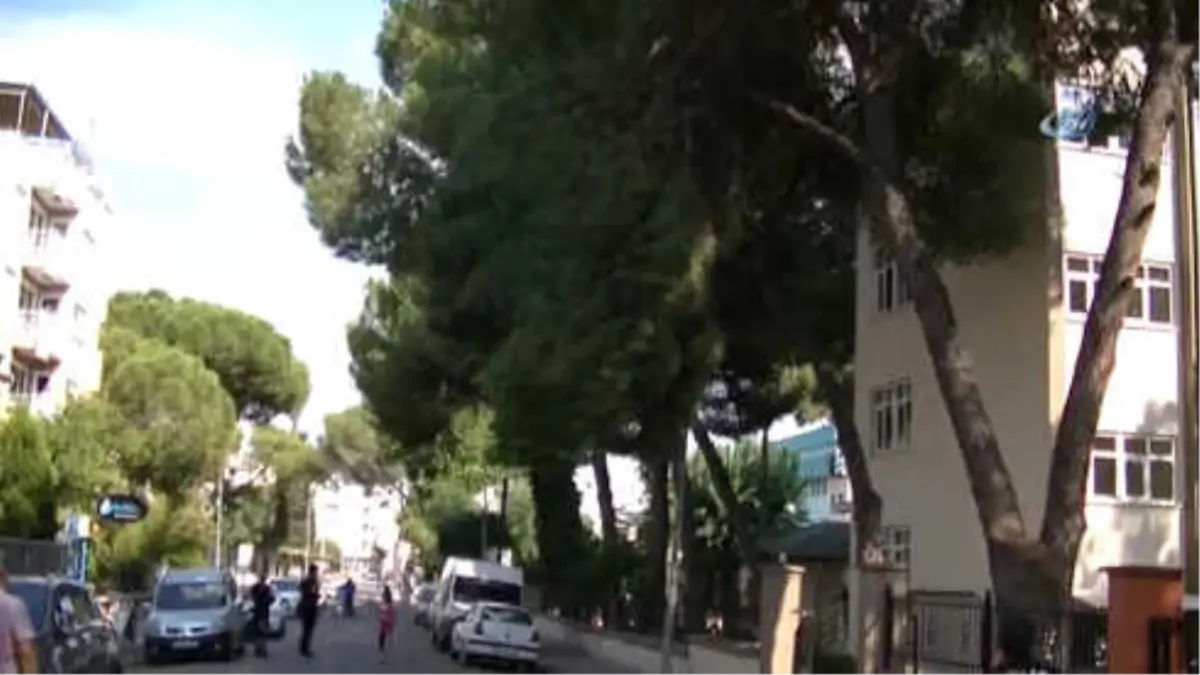 Polisin İki Saatlik Nöbeti, Ağaç Kesilince Sona Erdi