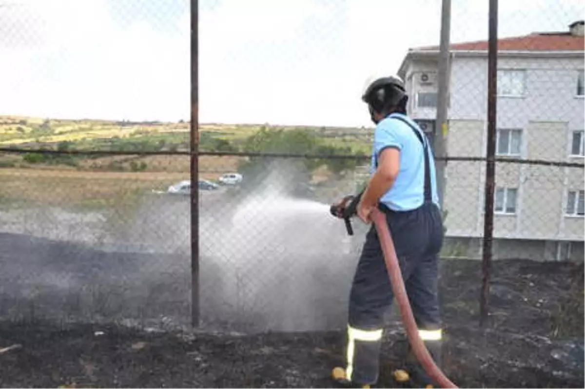 Yılanı Kaçırmak İsterken Okulu Yakacaktı