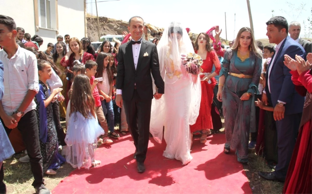 Yüksekovalı Avukat Çifte Renkli Kır Düğünü