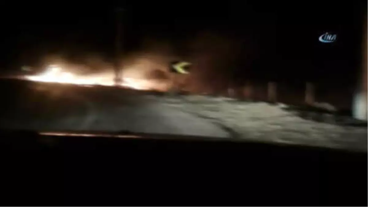 Ayvalık\'ta Orman Yangını