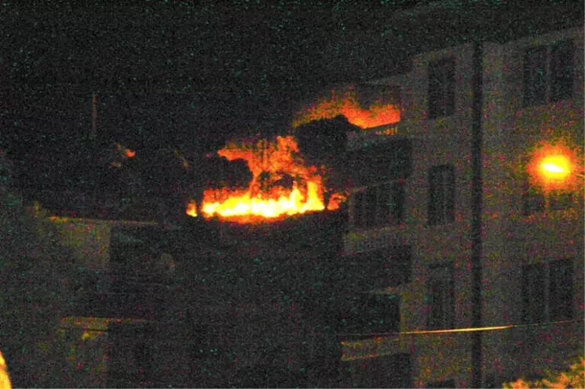 Ayvalık\'ta Orman Yangını