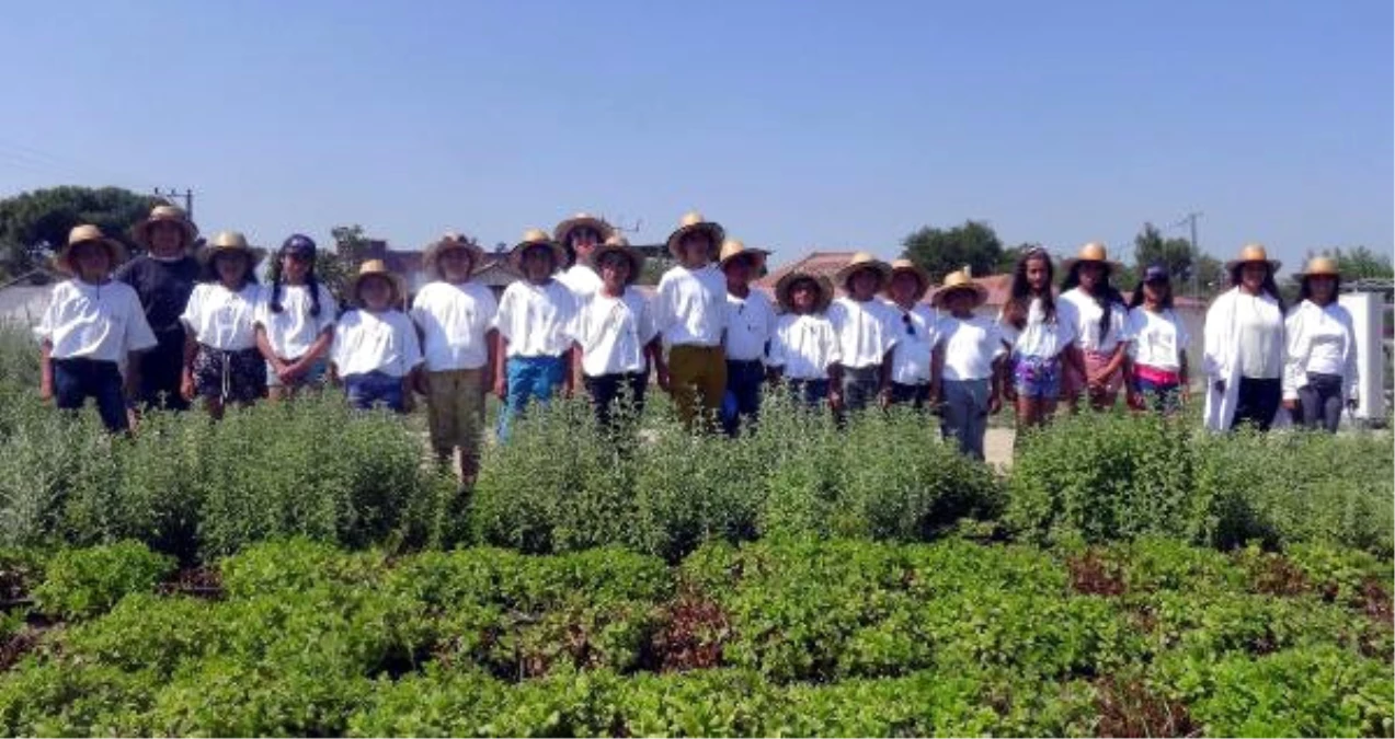 Çocuklar, Akıllı Köyde Tarım Eğitimi Aldı