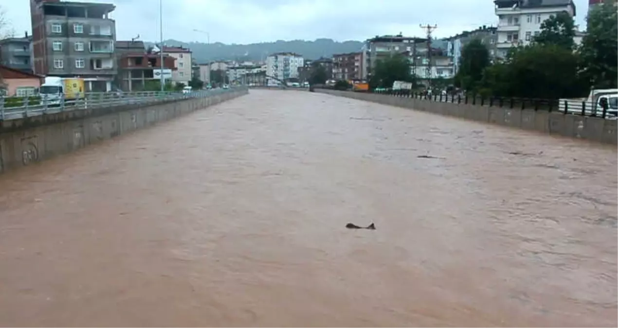 Sel Bu Kez Ünye\'yi Vurdu