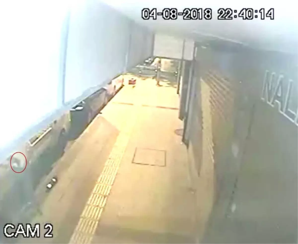 Yalova\'daki İş Yerine Silahlı Saldırısı Güvenlik Kamerasında