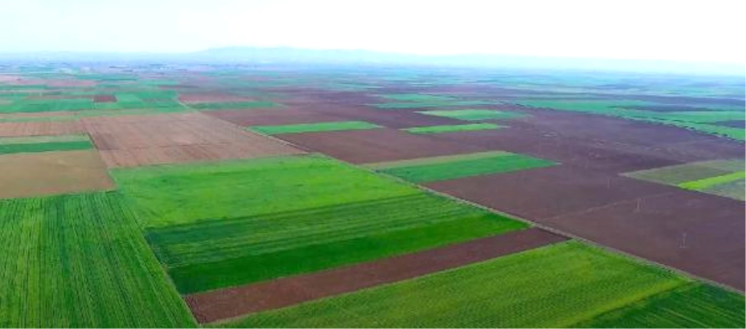 Danıştay: Alpu Termik Santralinde Kömür Madeni İçin Çed Gerekli