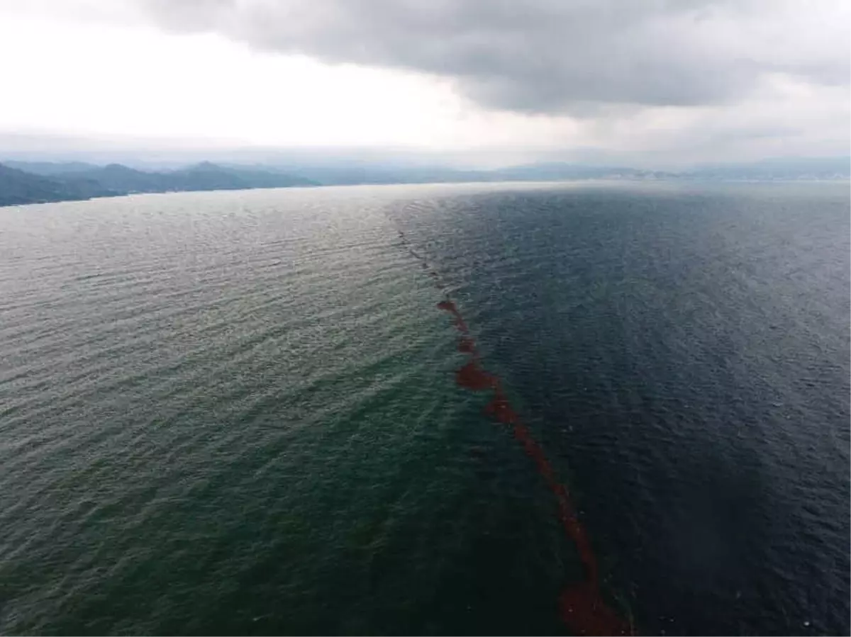 Karadeniz Adeta İkiye Bölündü