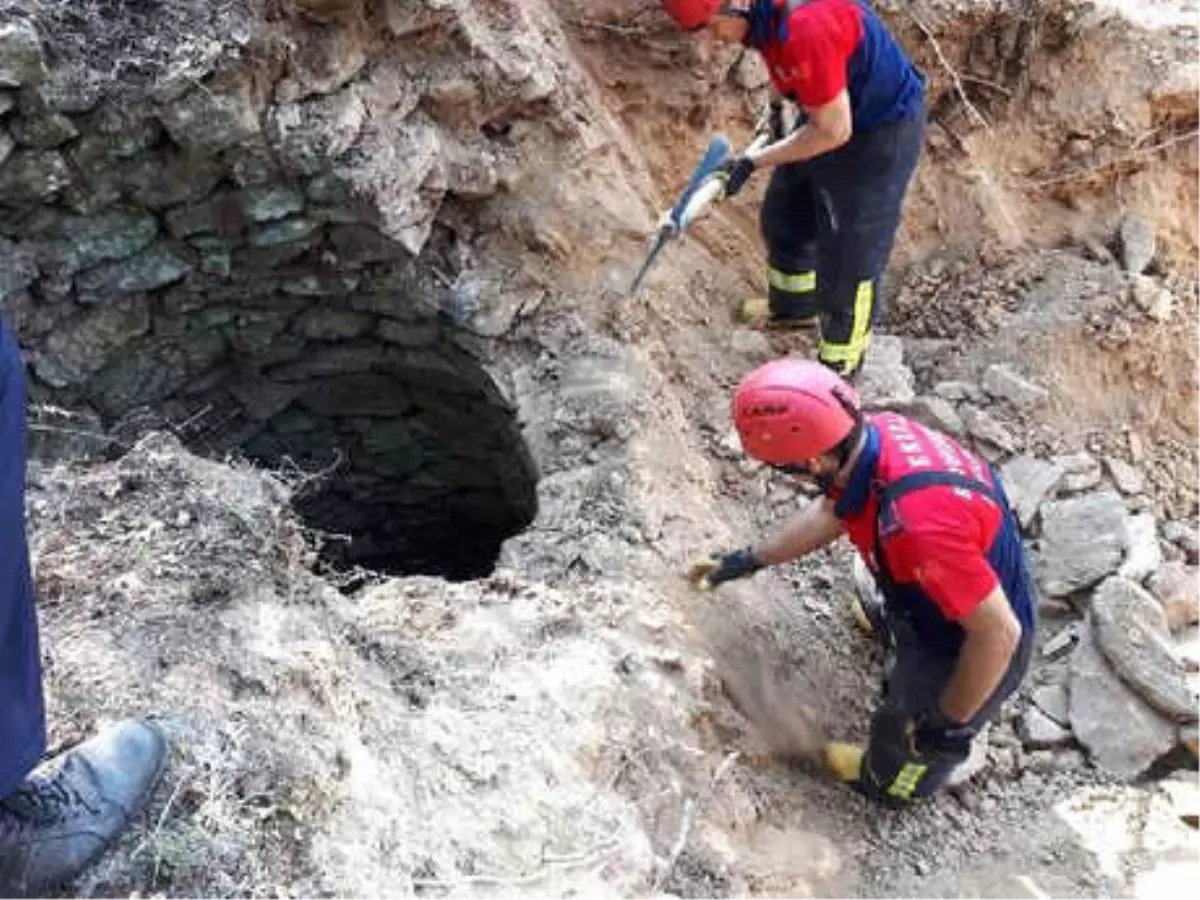 Kuyuya Düşen Gebe İnek İş Makinesiyle Kurtarıldı