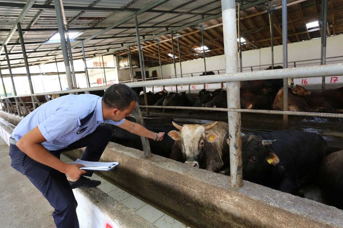 Serdivan\'da Kurban Satış ve Kesim Yerlerini Denetlendi