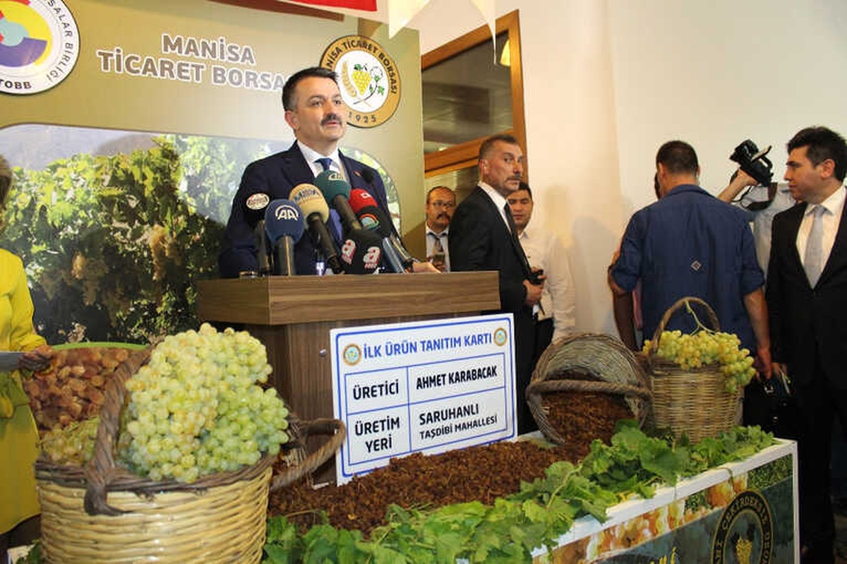 Bakan Pakdemirli Üzüm Rekoltesini Açıkladı