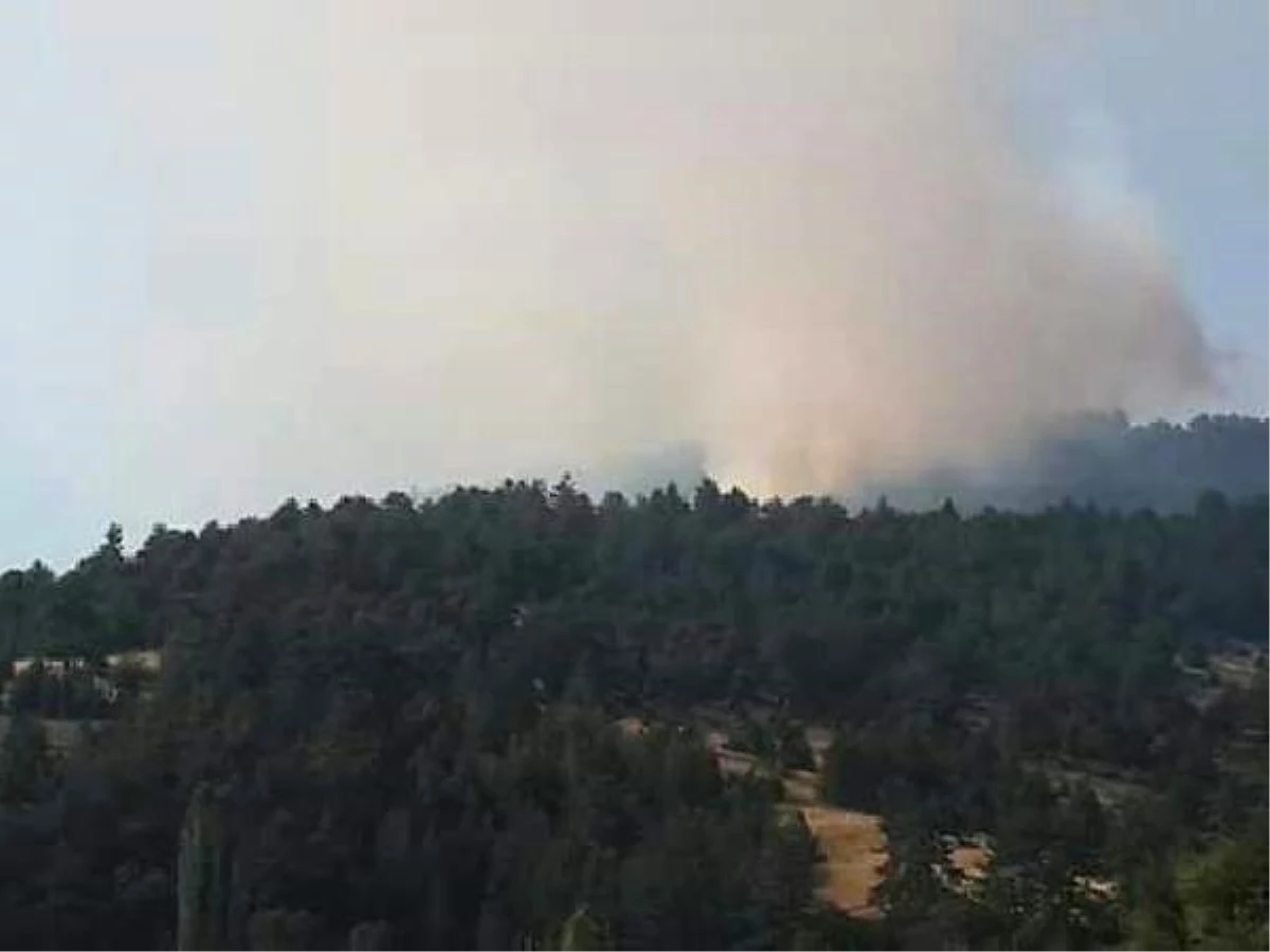 Bursa\'nın Orhaneli İlçesinde Orman Yangını