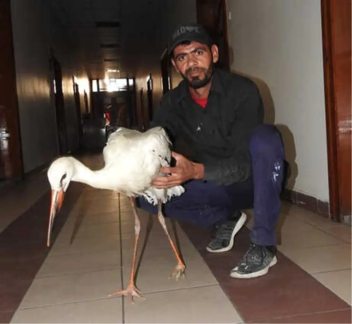 Çöpten Atık Toplayan Iraklı, Yaralı Leyleğe Sahip Çıktı