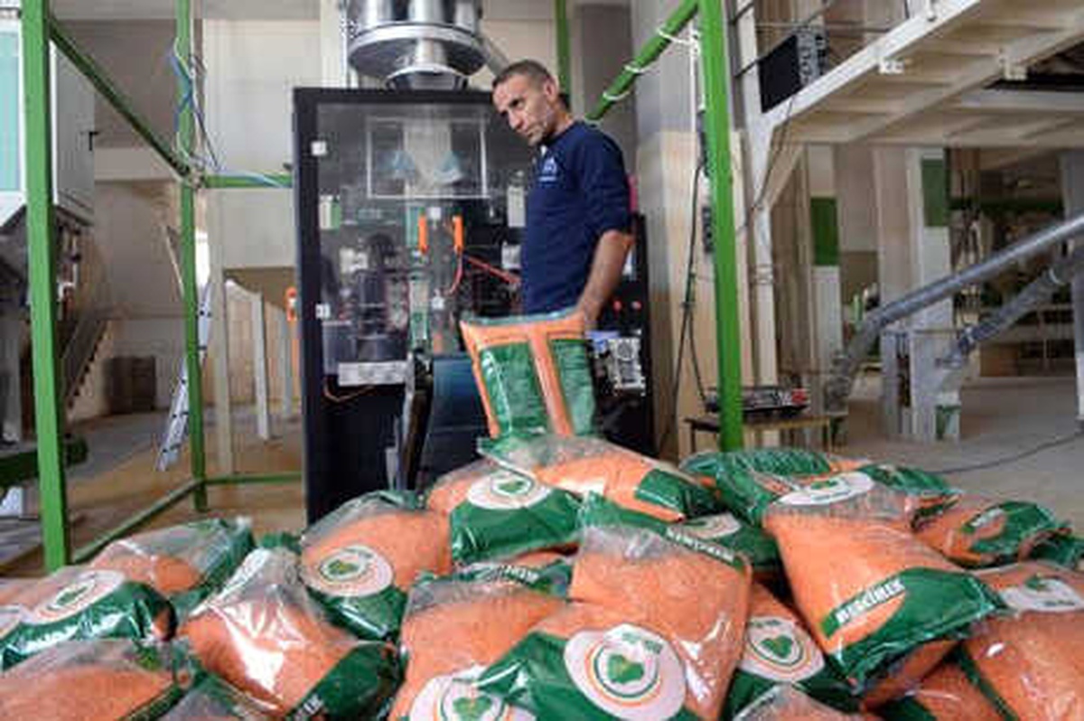 Diyarbakır, Kırmızı Mercimek ve İpek Böcekçiliği Üretiminde Birinci