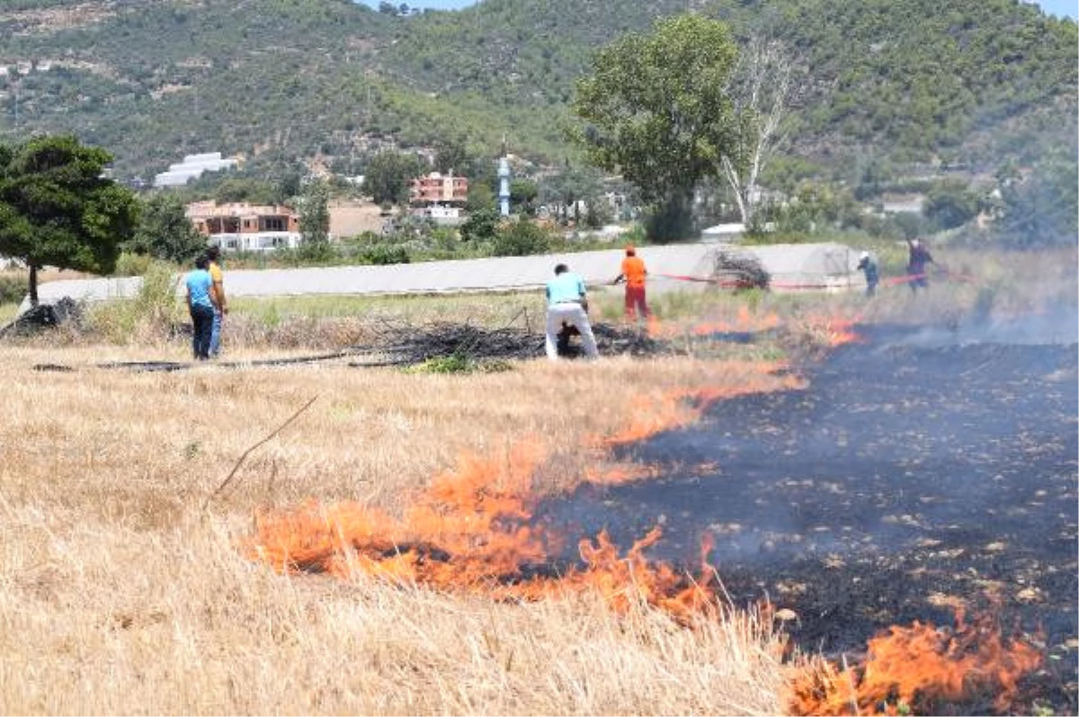 Gazipaşa\'da Sazlık Yangını, Yerleşim Alanlarına Ulaşmadan Söndürüldü