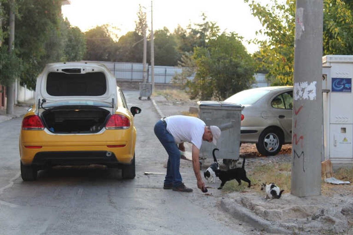 Hayvansever Taksiciden İnsanlık Dersi