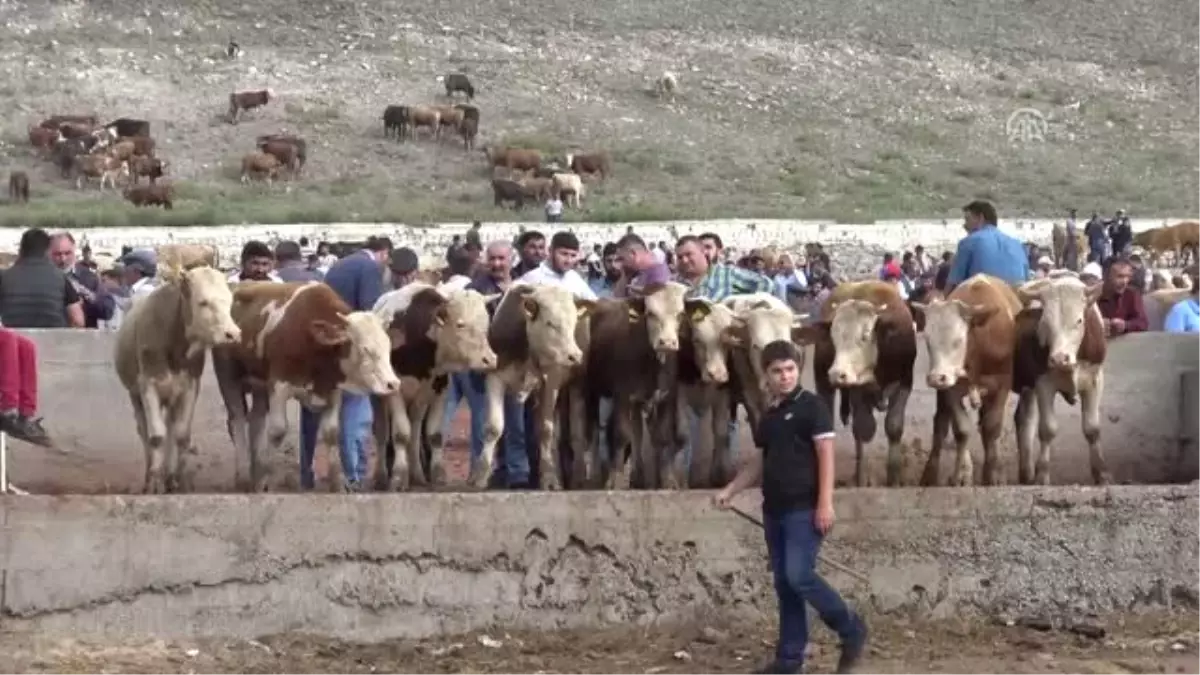 Polisten Hayvan Pazarında Uygulamalı "Sahte Para" Uyarısı