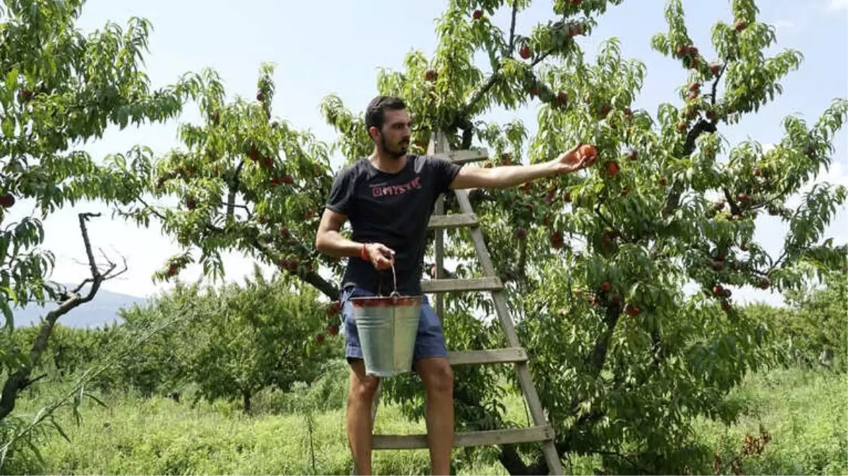 Tarladan Türkiye Şampiyonasına