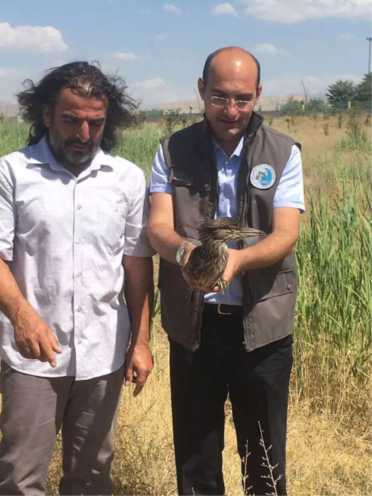 Tedavileri Tamamlanan Kuşlar Yaşam Alanlarına Bırakıldı