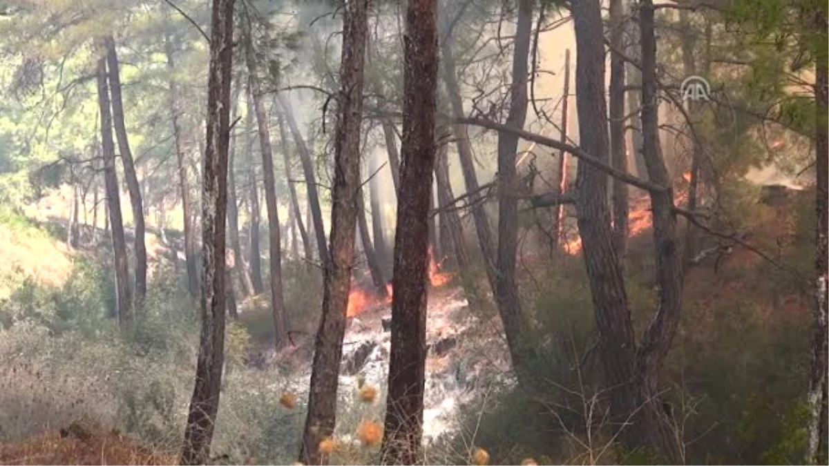 Antalya\'da Orman Yangını (2)
