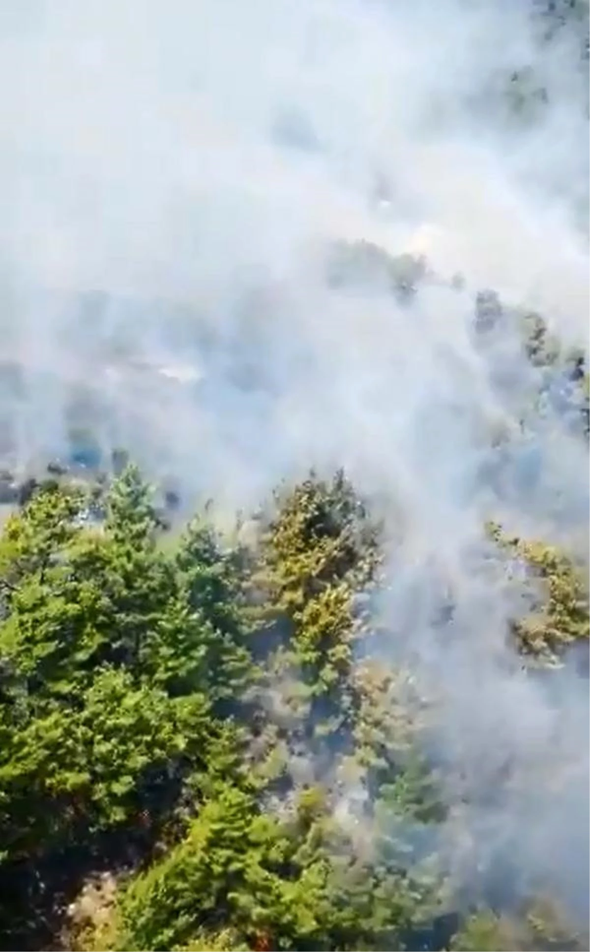 Antalya\'da Orman Yangını (2)