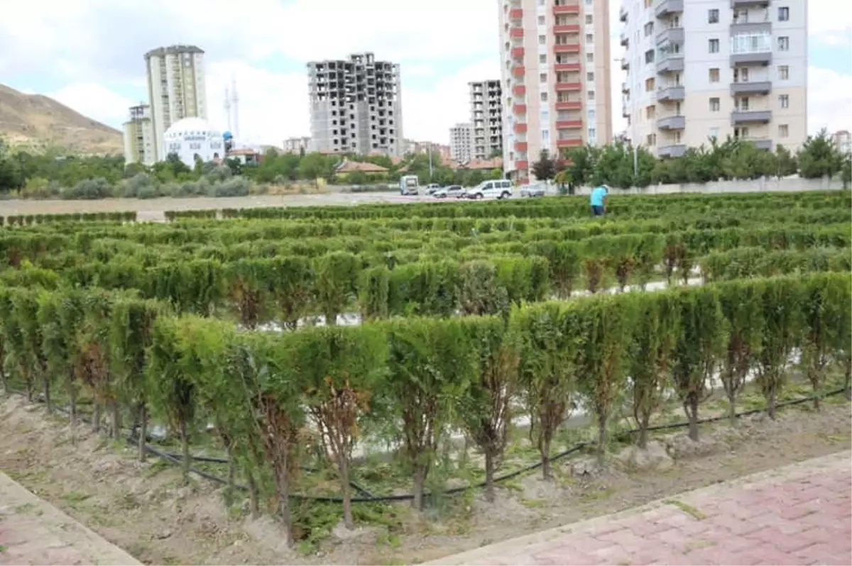 Başkan Büyükkılıç Labirent Parkı\'nda