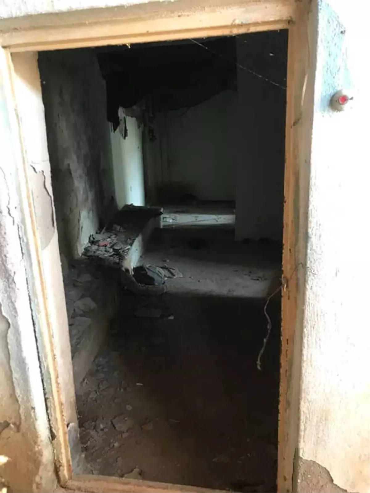 Bitlis\'te Metruk Binalarda Uyuşturucu Operasyonu