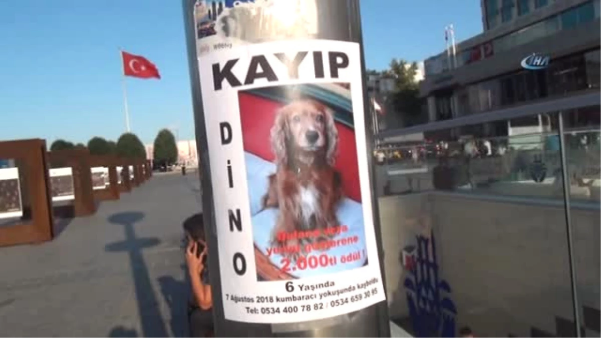 Bulana 2 Bin Lira Ödül Verileceği İlan Edilen Köpek, Taksim Metrosu\'nda Bulundu