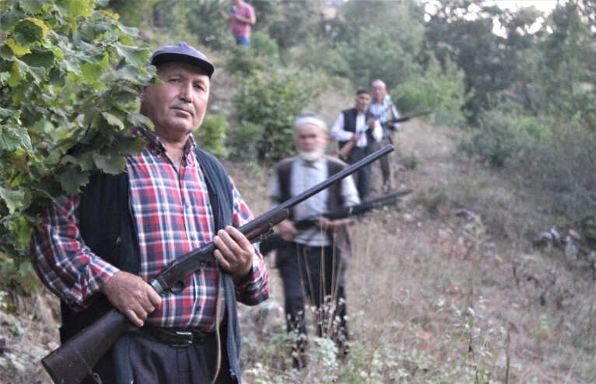 Köylülerin Silahla Domuz Nöbeti