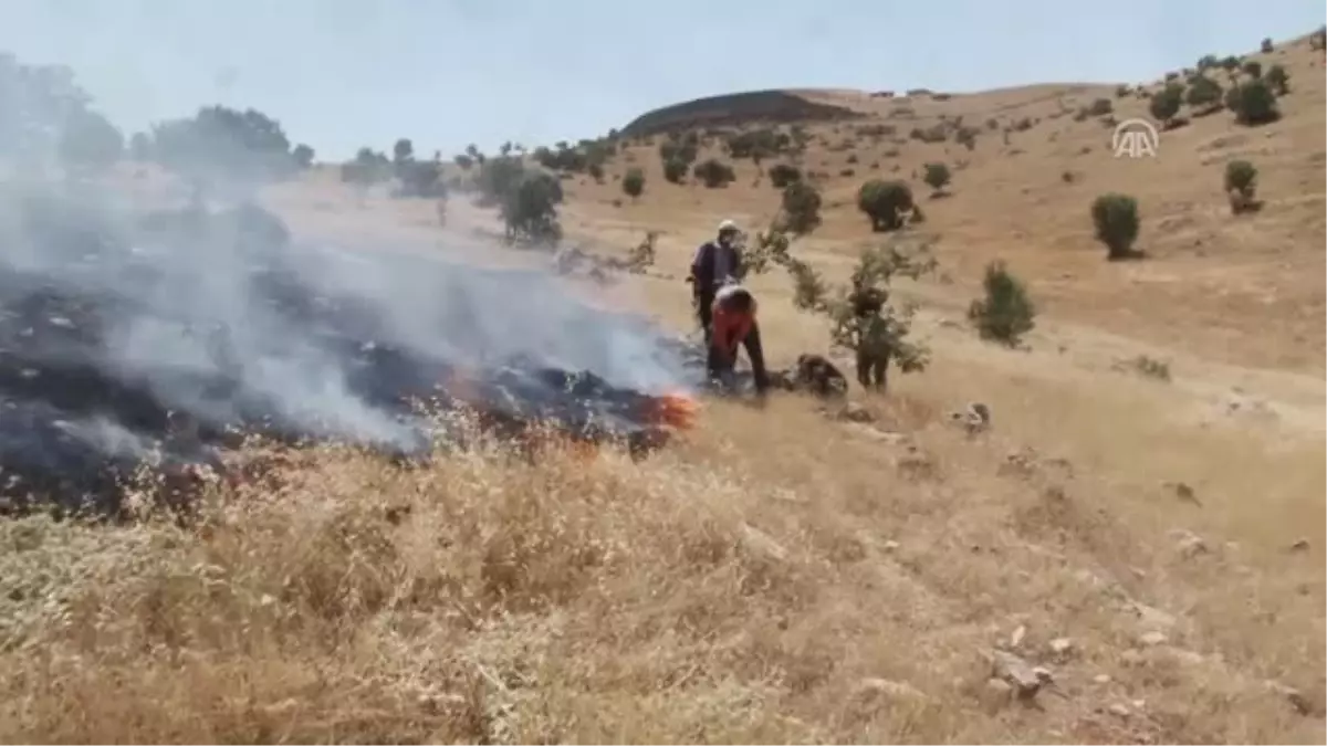 Siirt\'te Bağ ve Bahçe Yangını