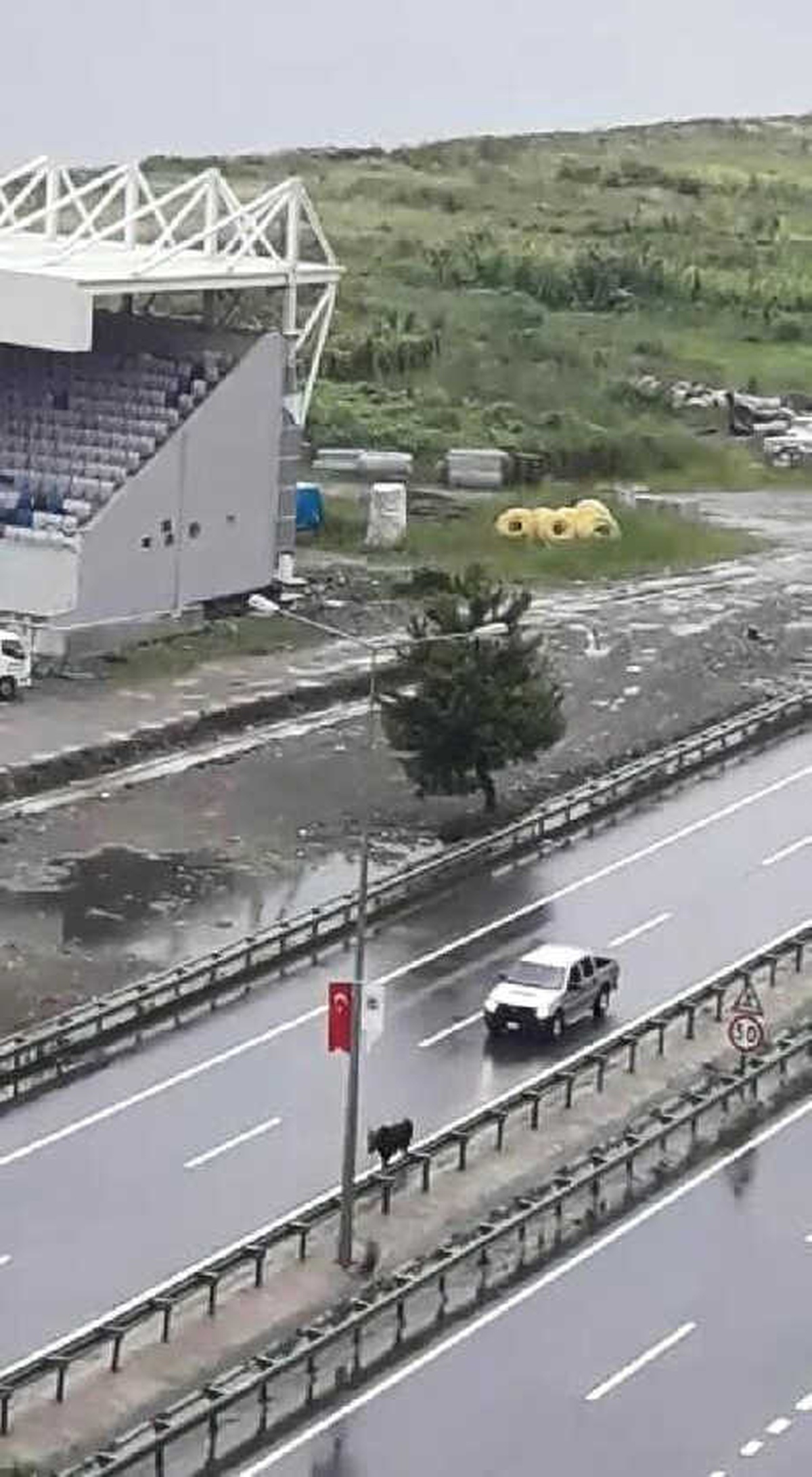 Yola Çıkan Kurbanlık Boğa Kazaya Neden Oldu: 5 Yaralı