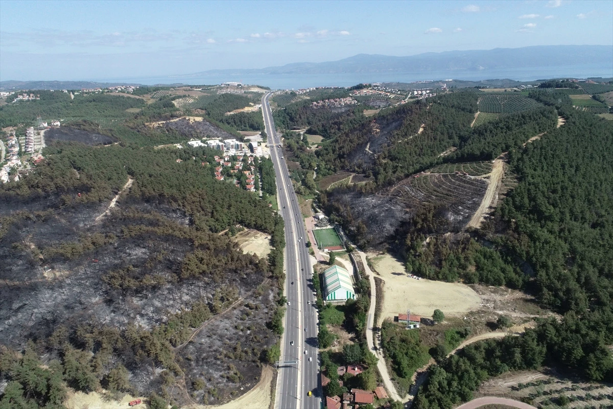 Bursa\'daki Orman Yangını
