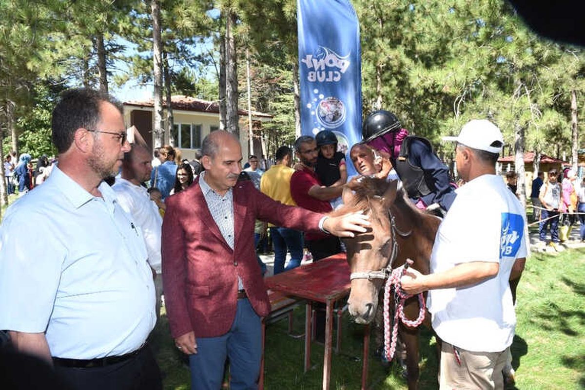 Çocukların Pony Sevinci