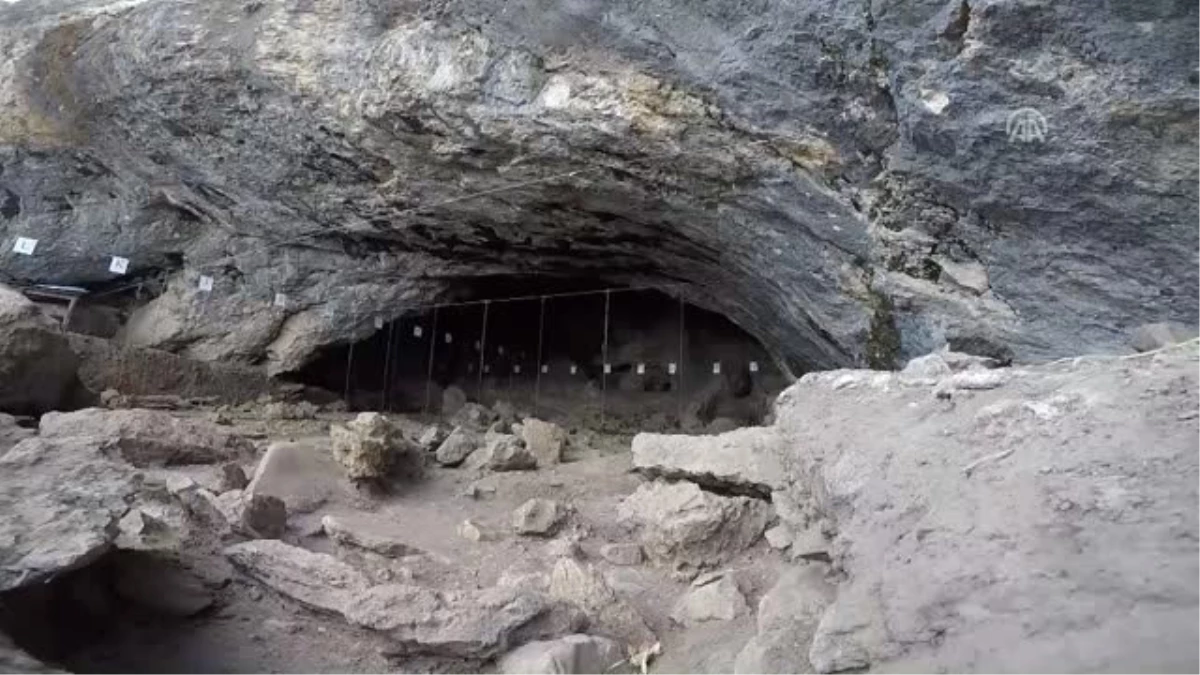 Direkli Mağarası\'nda 14 Bin Yıllık Ayı ve Sansar Kafatası Bulundu
