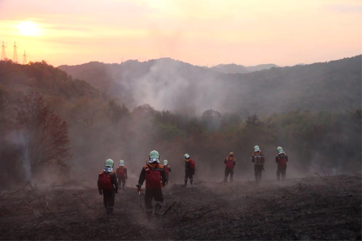 Kırım\'da Başlayan Orman Yangını Söndürülemiyor